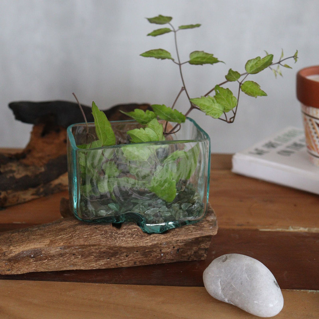 1x Molten Glass Tank on Wood with Stand - Large Bowl
