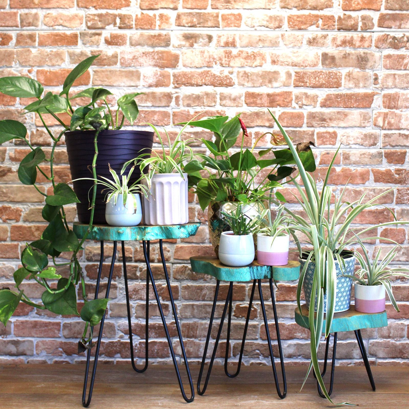Set of 3 Gamell Wood Plant Stands - Greenwash