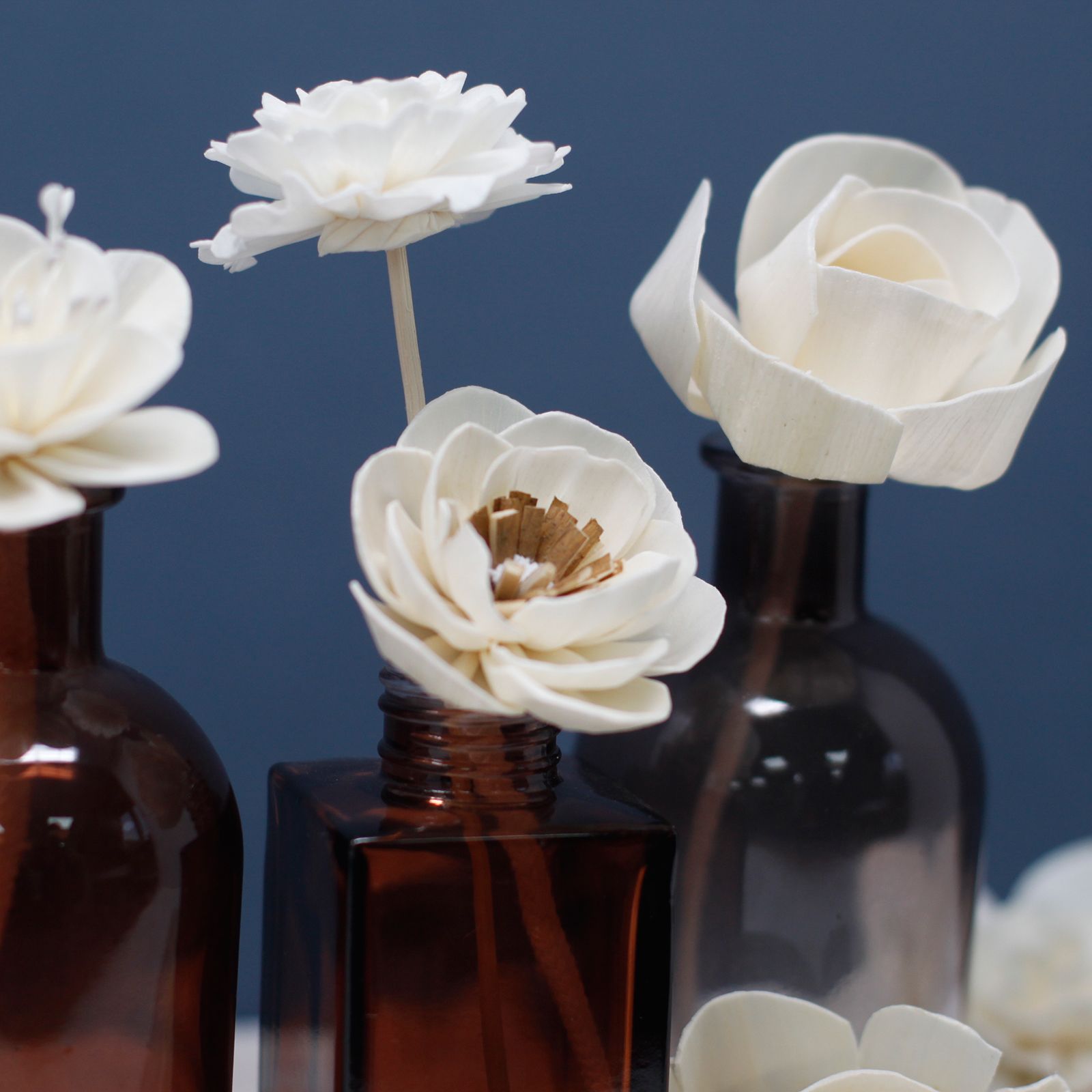 Natural Diffuser Flowers - Tulip on Reed
