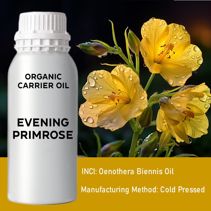Organic Evening Primrose Oil 1 Litre