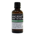 Cajaput  50ml Essential Oil