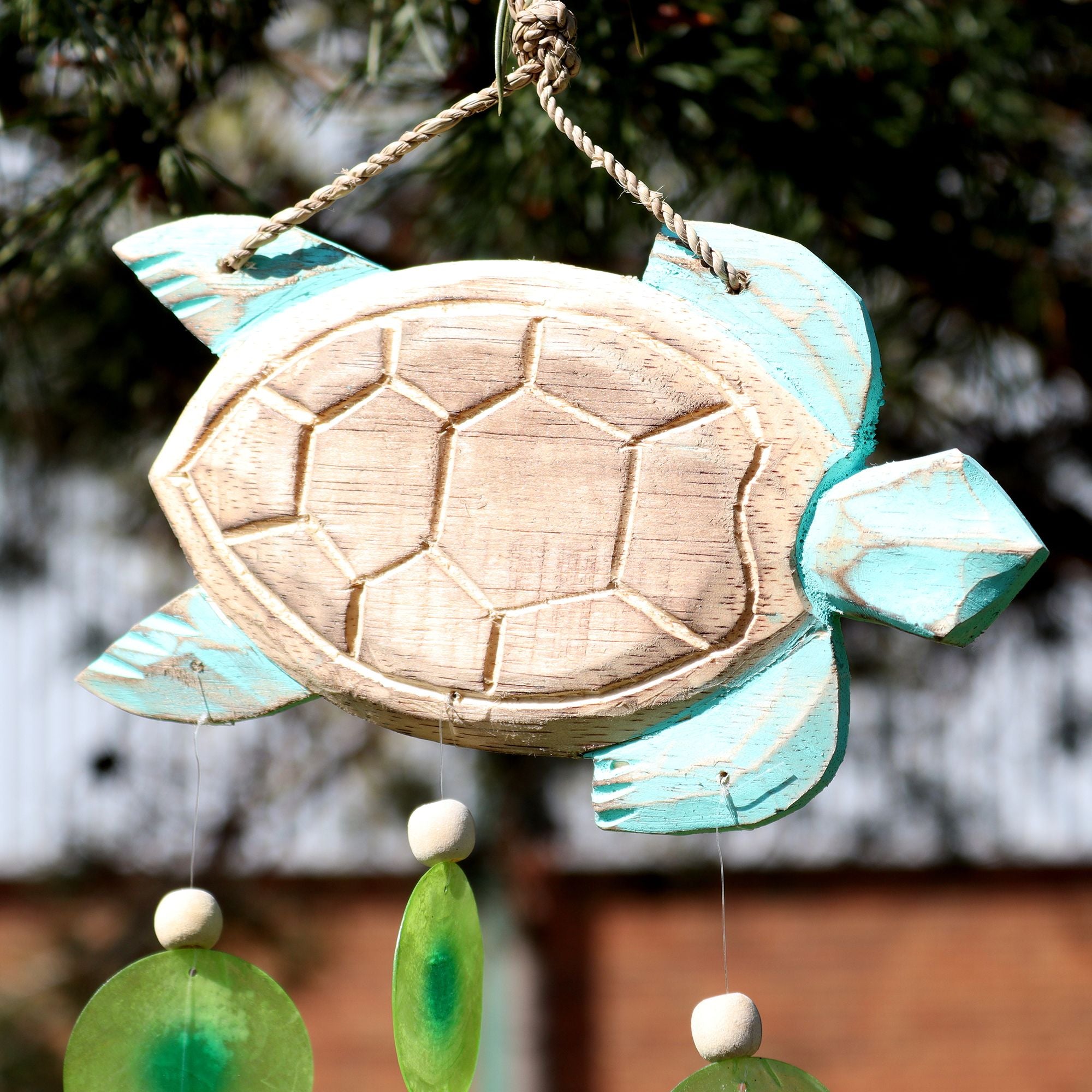 Aqua Turtle Carving and Copis Drop