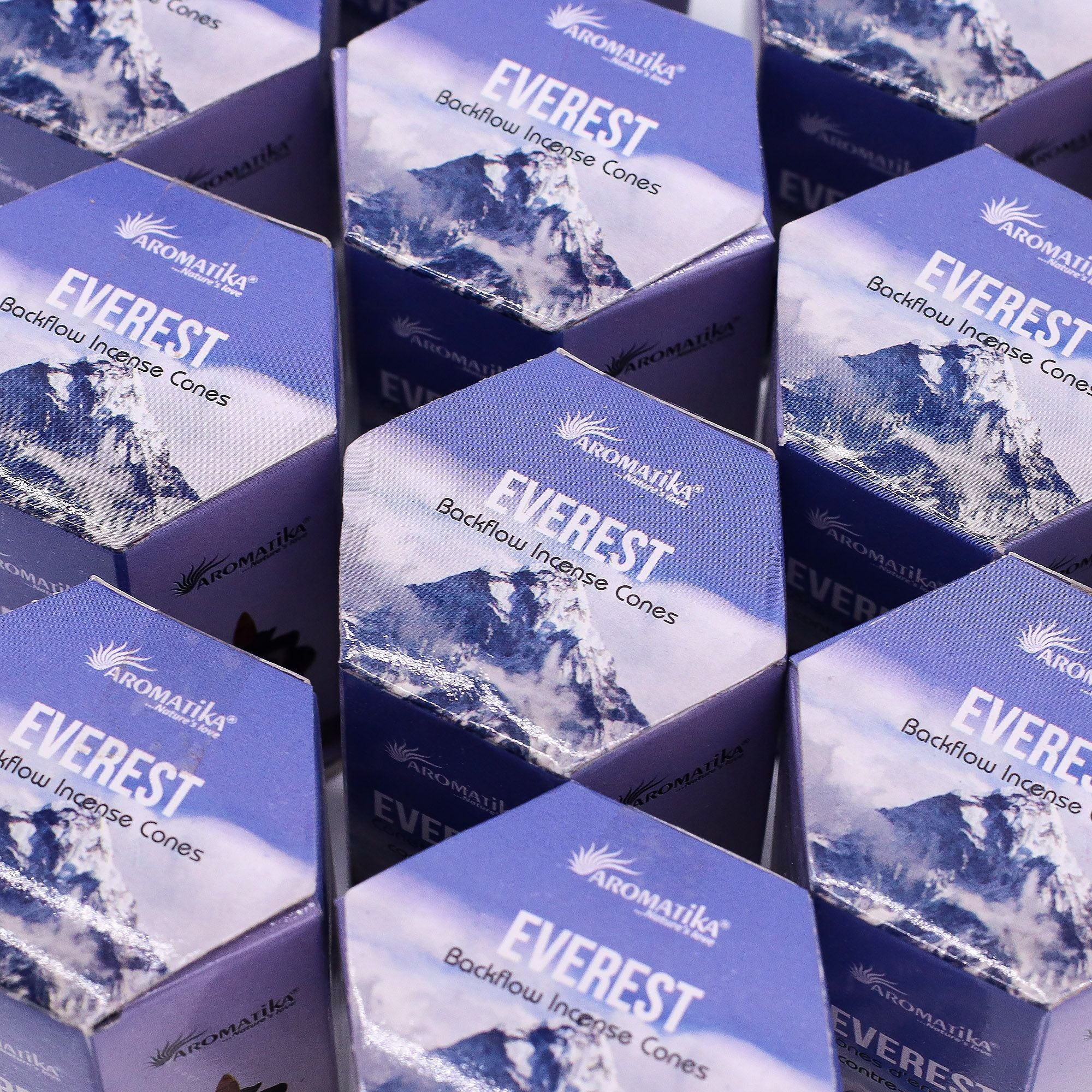 Masala Backflow Incense pack of 10 - Everest