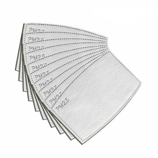 PM2.5 Face Covering Filter Insert (Children)